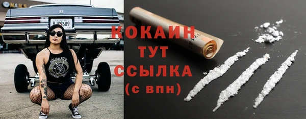 тгк Богородицк