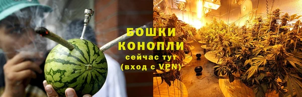 тгк Богородицк