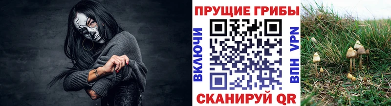 Псилоцибиновые грибы мицелий  дарнет шоп  Оха 